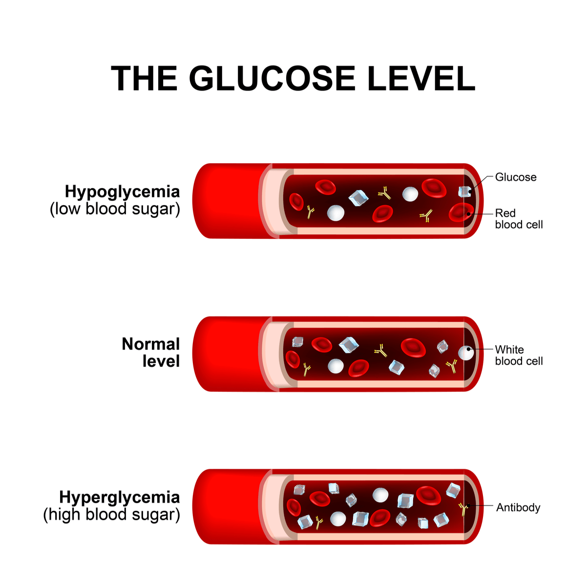 Blood Sugar Levels How Glucose Levels Affect Your Body Breathe Well 